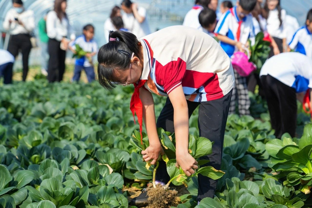 1715649349211663.jpg cdd2116201ae29649088ad01a07da831.jpg